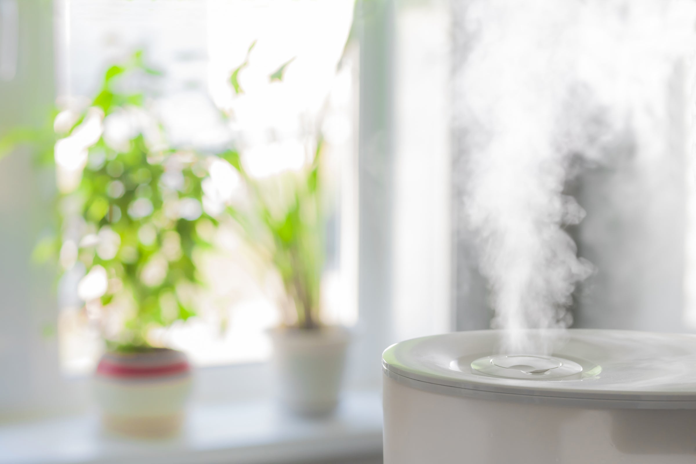 Humidifier spreading steam to control humidity of lash room.