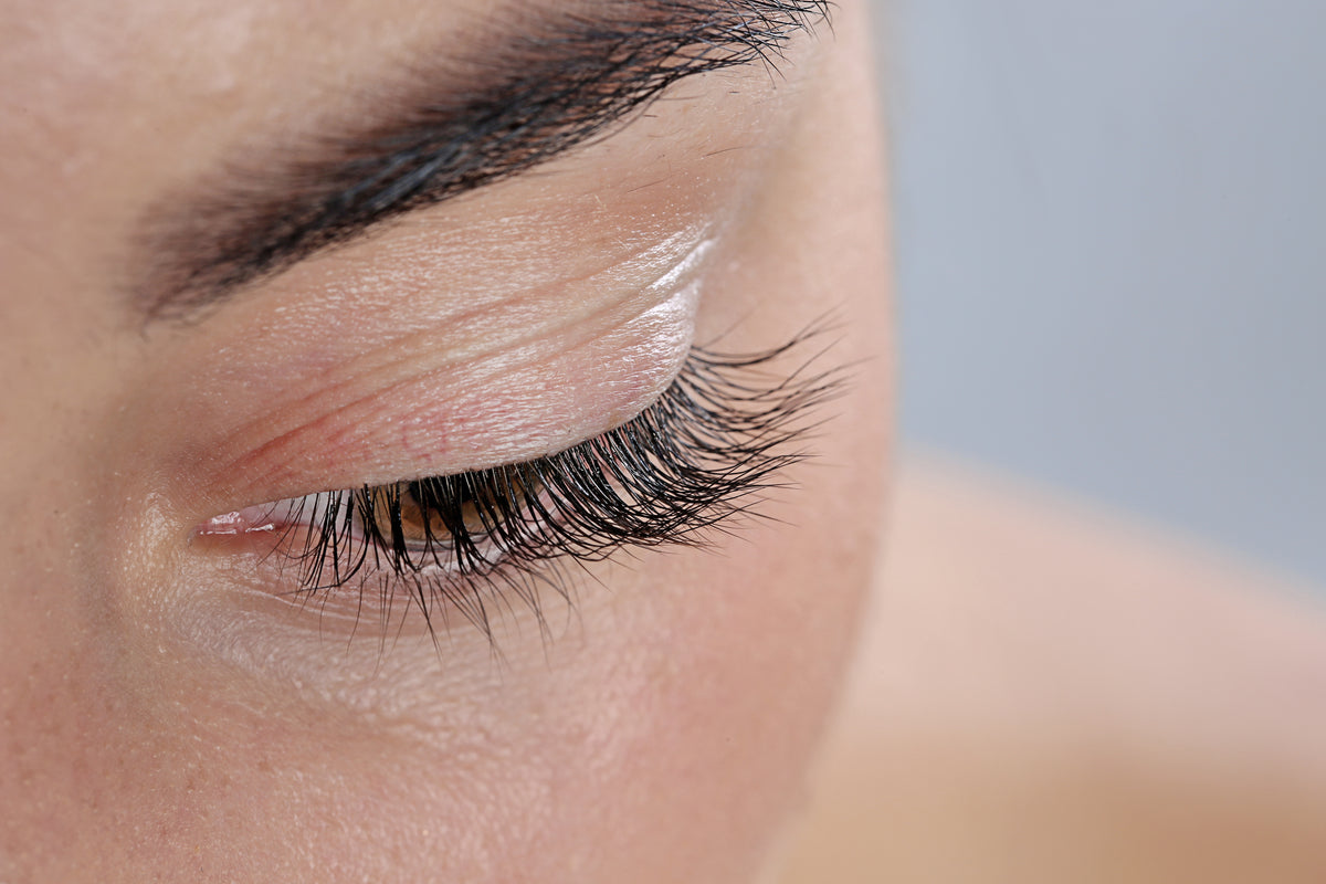 Closeup of woman's eyebrows and natural long eyelashes. Cartel Lash