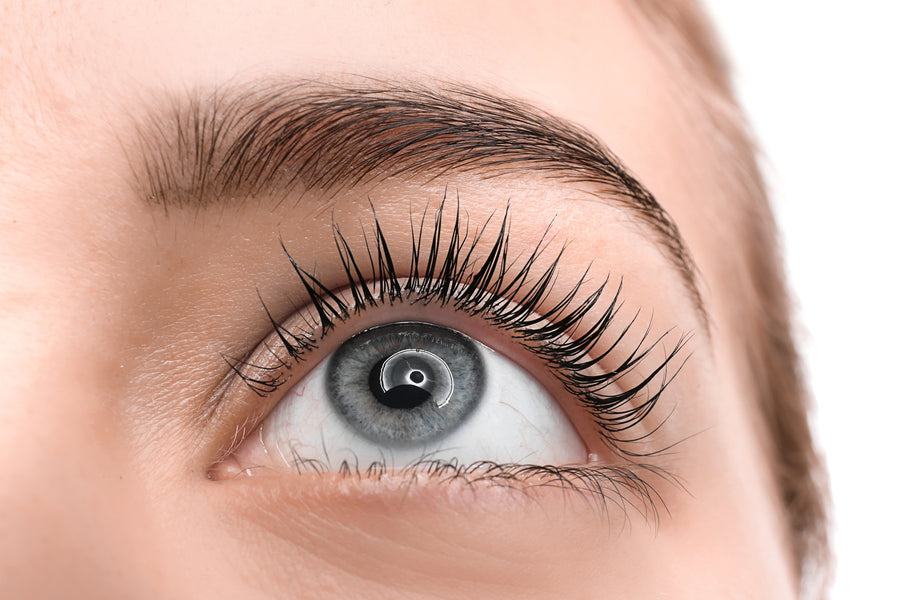 Everything You Need to Know About EyEnvy™ for Eyelash Extensions